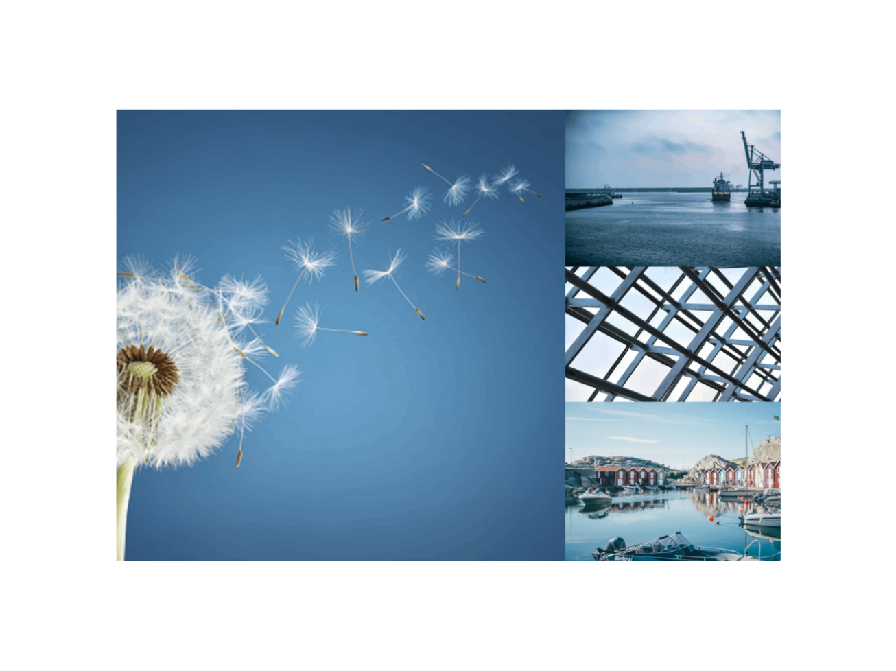 Vorlage Veranstaltungsbild (27)